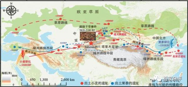 小麦传入中国的路径是什么