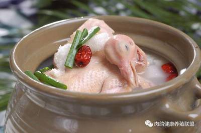 月子期间可以喝鸽子汤吗