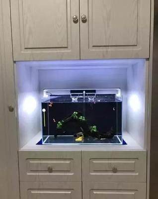 厨房对面放鱼缸吗