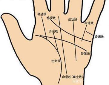 男左手婚姻线图解大全
