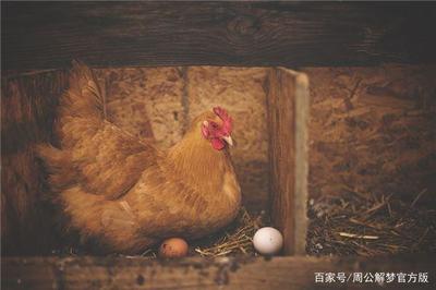 做梦梦到吃鸡蛋