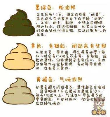 刚出生宝宝一天拉几次大便为正常