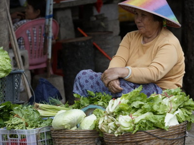 做梦卖菜