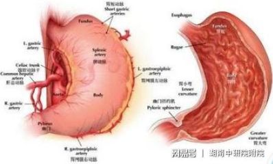 直肠腺瘤怎么治疗方法
