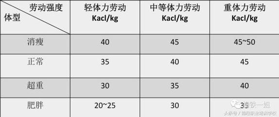 体力劳动强度