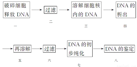 dna鉴定流程