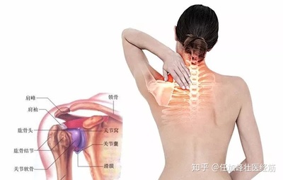肩膀骨头疼是怎么回事
