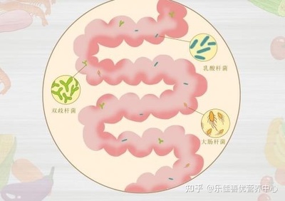 益生菌的正确吃法