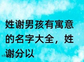 姓谢男孩名字大全