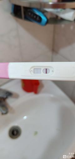 怀孕几个月能测出来