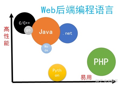 Web开发后端语言(网站后端需要什么语言)
