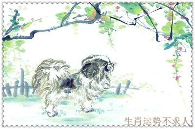 生肖狗的幸运色