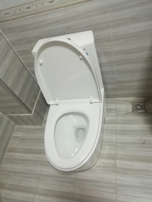 蓝鲸马桶质量怎么样