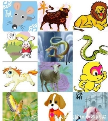 哪些国家有生肖