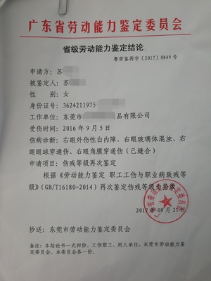 劳动能力等级鉴定