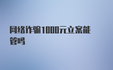 网络诈骗1000元立案吗