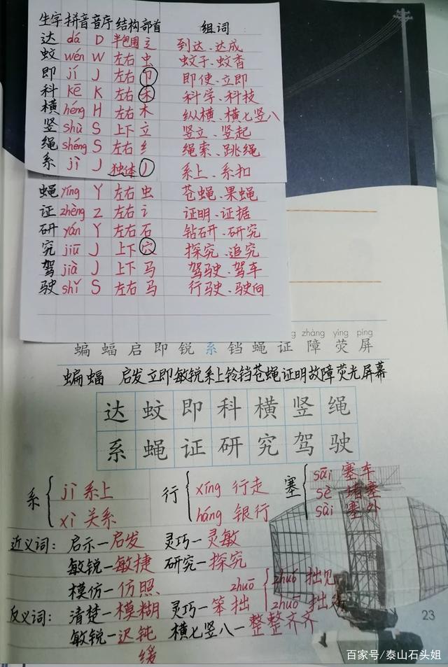 学后感四年级下册作文怎么写