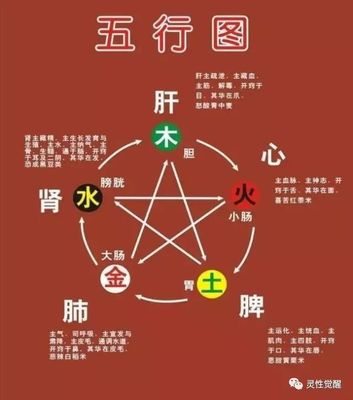 阴阳五行查询