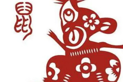 属鼠和属鸡的合不合