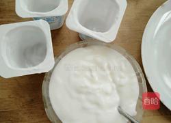 酸奶棒制作方法