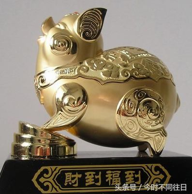 属猪今年财运
