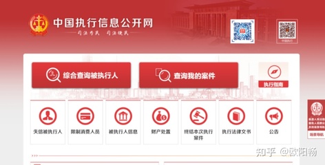 全国执行案件查询