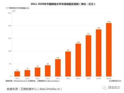 网络用户