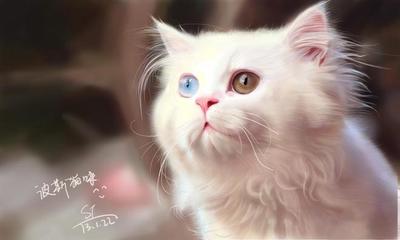 梦见被猫咬一口