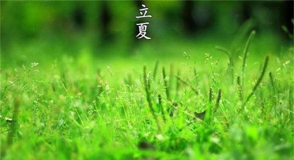 描写好心情的句子