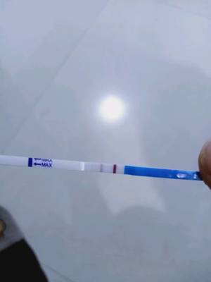 测试纸怀孕