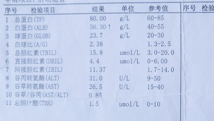 谷转氨酶高是怎么回事