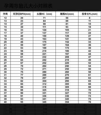 怀孕胎儿大小对照表