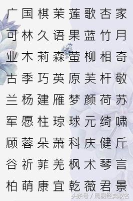苏取名大全