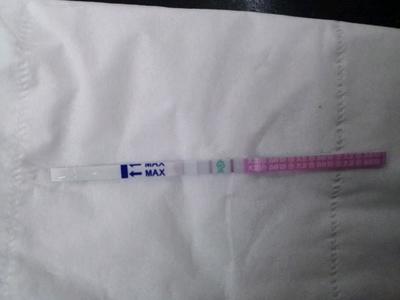 不是排卵期排卵试纸两条杠