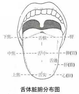 舌苔灰色是怎么回事