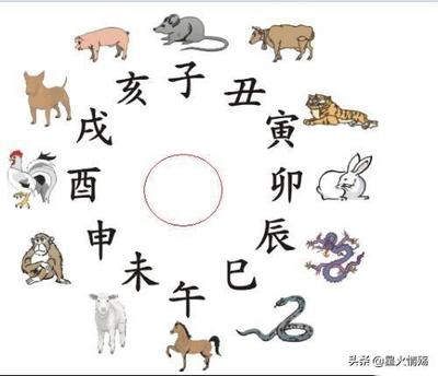 不三不四指什么生肖