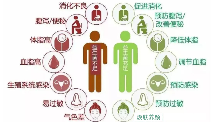 益生菌的正确吃法
