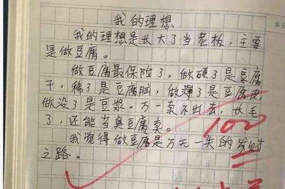 写我的理想是老师作文500字作文怎么写