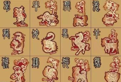 质打一生肖