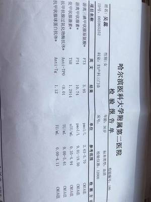 孕妇甲功三项