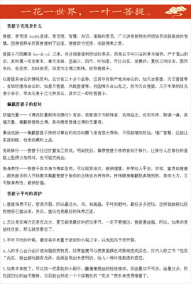 关于马可波罗的网名