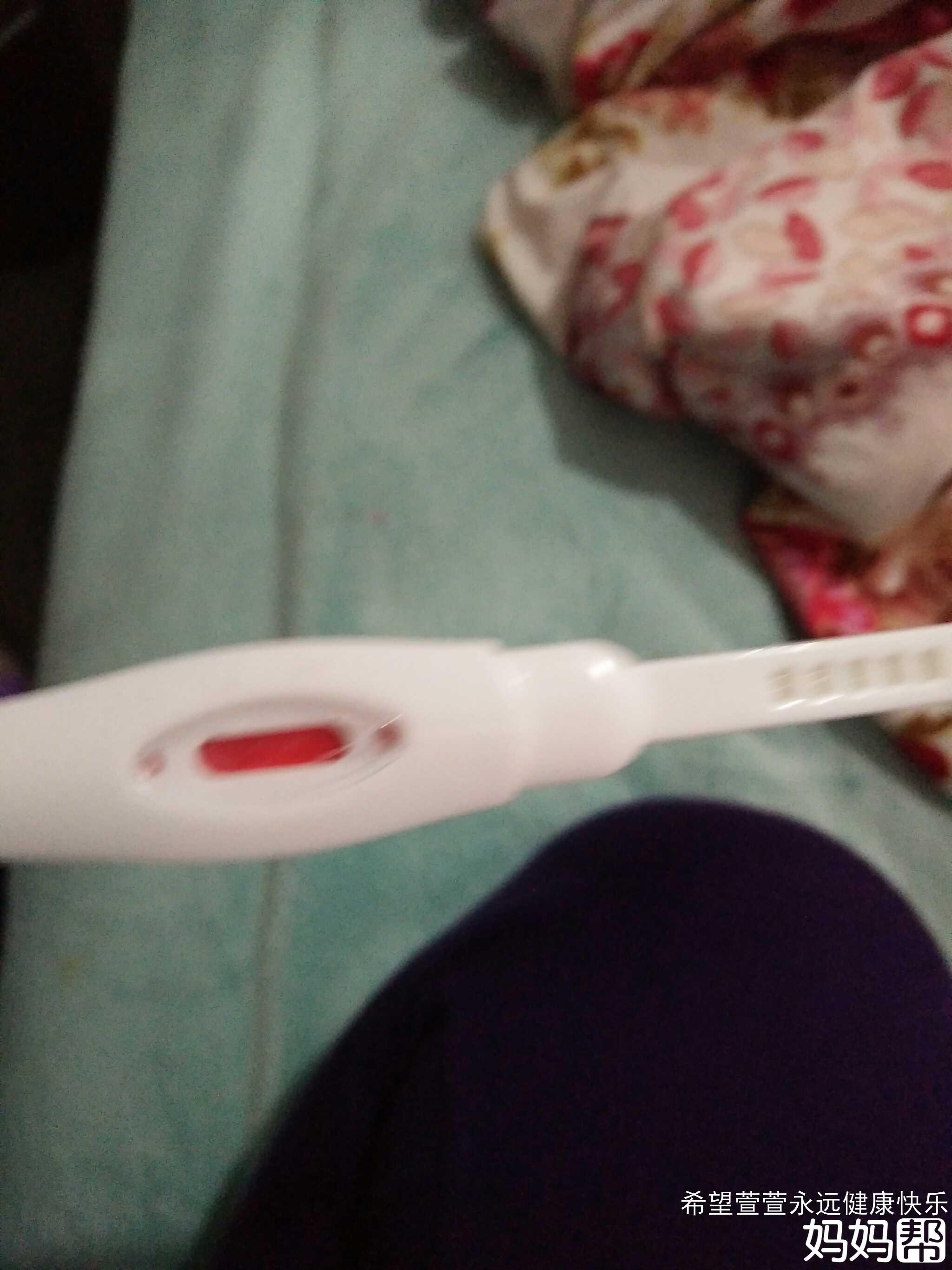 男女宝宝测试卡