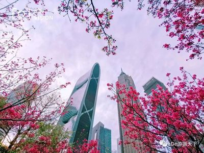 花城广州