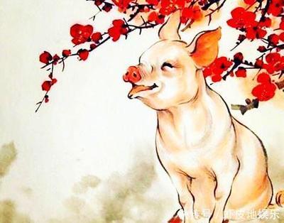 属猪本周运势