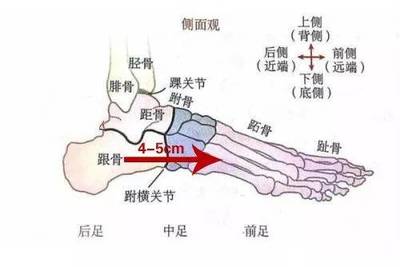 脚内侧疼是怎么回事
