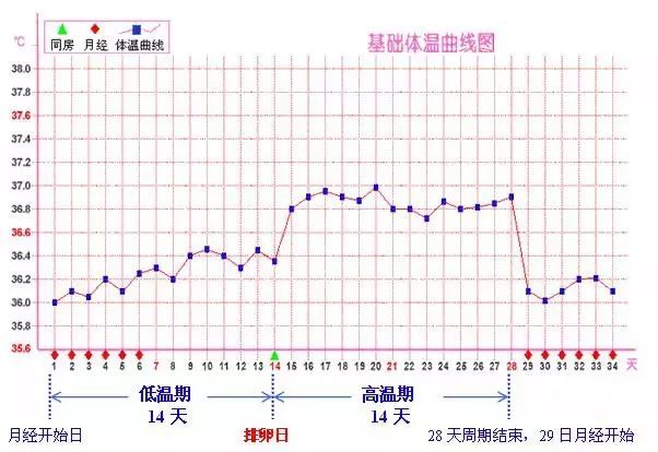 体温多少同房