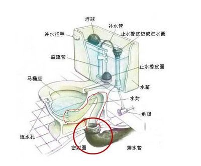 马桶构造