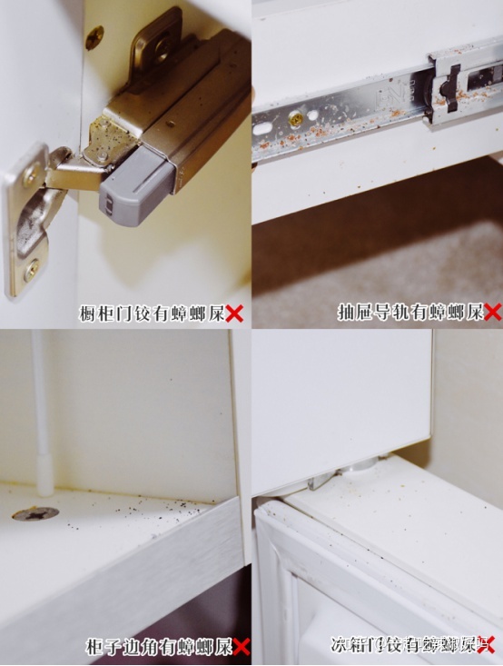 橱柜门怎么装不进蟑螂