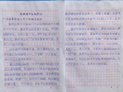 我的读书计划怎么写300字作文