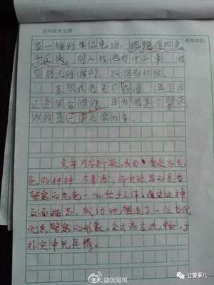 兔子怎么吃东西作文四百字